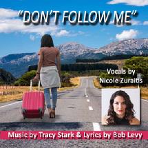 https://soundcloud.com/user-958003097/dont-follow-me